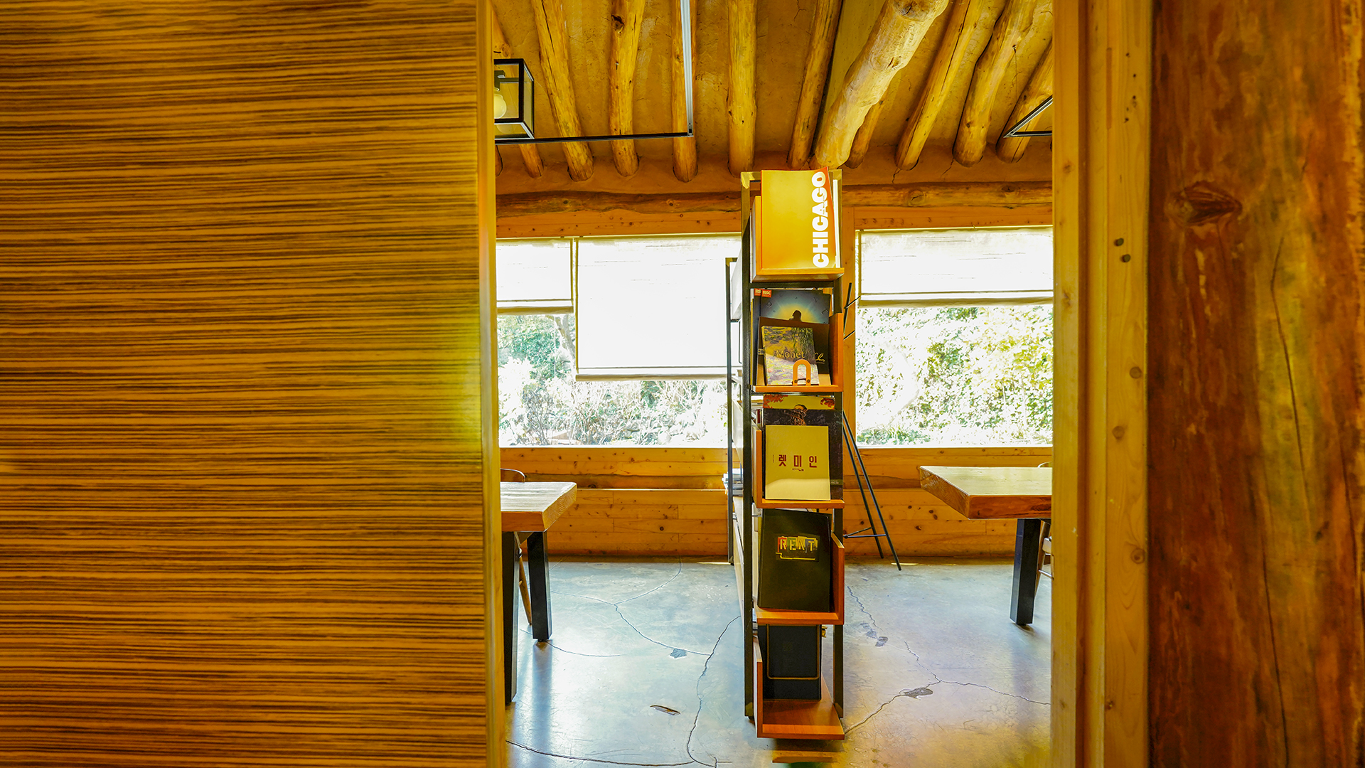 동진대교와 달뜨는 비오리